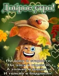 IMG-20210827-WA0004.webp