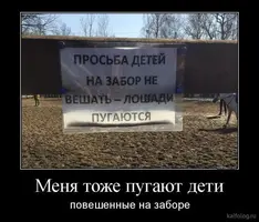 495e97a661d9b302cb307c159f4c29c0.webp