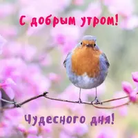 c136b527d7207ed2ac0c003afeb0f405.webp
