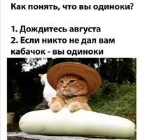 Screenshot_20210827_085945.webp