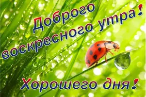 IMG-20210829-WA0000.webp