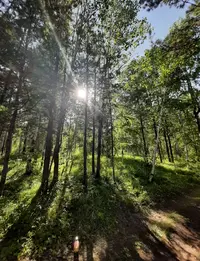 Screenshot_20210829-143139_Gallery.webp