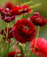 Screenshot_20210819_204247.webp