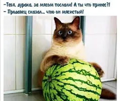 Screenshot_20210829_100130.webp