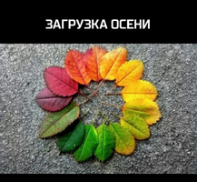 Screenshot_20210829-194107_OK.webp