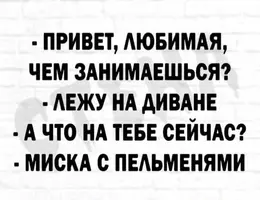 c37bee49eee48b038dab3cab08d91b03.webp