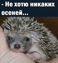 Screenshot_20210830_112157.webp