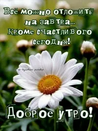 Screenshot_20210819_204213.webp