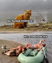 Screenshot_20210830_220118.webp
