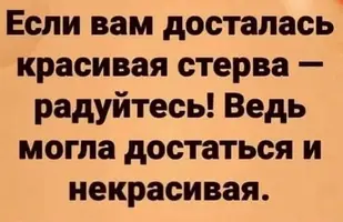 2936330434.webp