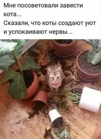 4b424883b20faed0951795959397f2e0.webp
