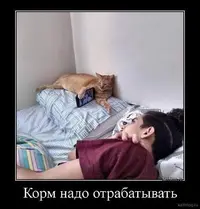 64309c5f990c78d8ad4091c4f1e67074.webp