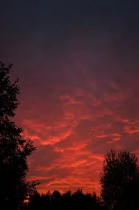 _DSC0815.webp