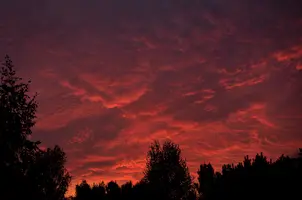 _DSC0817.webp