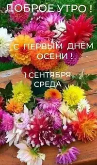 FB_IMG_1630467198451.webp