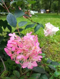 IMG_20210901_122451.webp