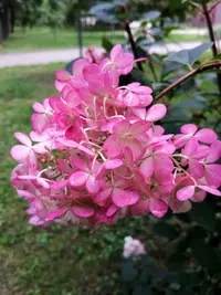 IMG_20210901_122300.webp