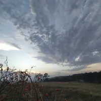 23_zJc7NRv4.webp