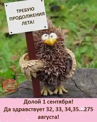 FB_IMG_1630467553075.webp