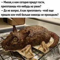 ec00739fd93d06fe3043f40173437e92.webp