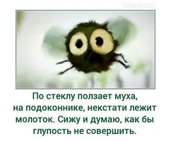 707251edf25361ac20adf68273ca2366.webp