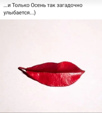 20210901_114246.webp