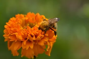 _DSC0806.webp