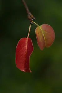 _DSC0802.webp