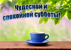 IMG-20210904-WA0005.webp