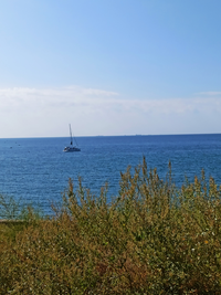 IMG_20210904_185327.webp