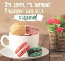 bfb8312a13f4dfbc1581149ba70c7cea.webp