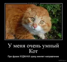 204910a58faf1a37bd1717b655595f3c.webp