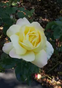 Screenshot_20210905-220720_Telegram.webp
