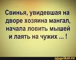5833ed8cfed0dd5d3599593caf1c3e7b.webp