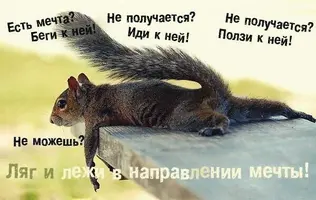 1a43216b0a070872aa5bd117105d951e.webp