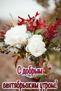 IMG-a08b6d8c745d1875f2218d88bd43c10d-V.webp