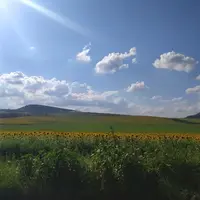 3cPo7nBUcLU.webp