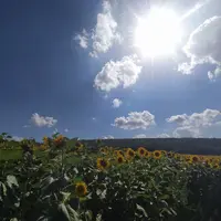 Gj5kVOV3lEY.webp
