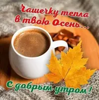 FB_IMG_1631001696263.webp