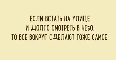 350.webp