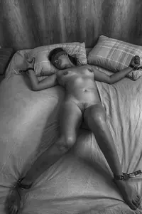 tumblr_o9dps8eOIt1v7donwo1_1280.webp
