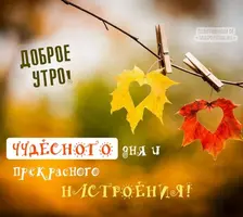 32d56e1017c0a85bff3cdb9e04c8123a.webp