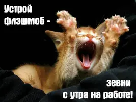 7d122e87f1c6627e9f91988a8e83699c_XL.webp