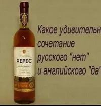 87a0d8944af0137a88fc4604896932c1.webp
