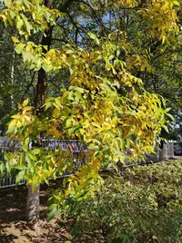 IMG_20210910_112929_compress54.webp
