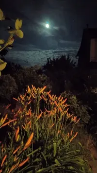 X55GudTcR_Y.webp