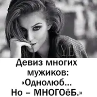 25b5dfea69ff3199a501bcd00dc72385.webp