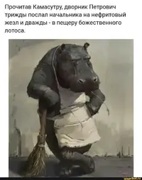 cf96623aac66d88fd2aa2f629ebbef19.webp