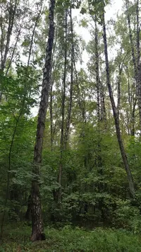 IMG_20210911_095756.webp