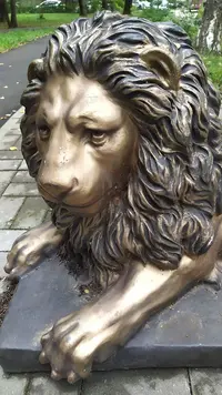 IMG_20210911_100605.webp